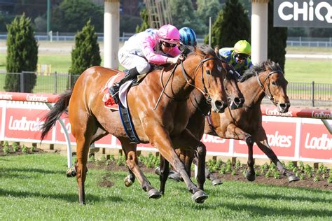 2021 moir stakes|Moir Stakes Field – 2021 .